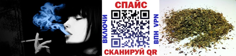 Купить где  Новоузенск  Бутират BDO 